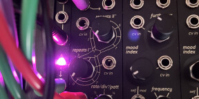 Endorphines Running Order (black)