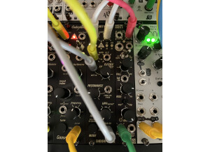 EndorphinSqwak-IMG 2302