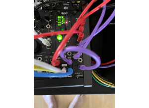 Ericas8Multi-IMG 2290