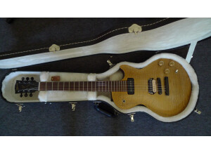 Gibson Les Paul BFG (18469)
