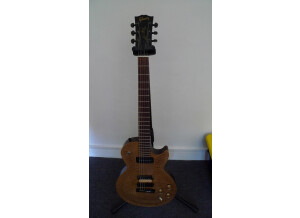 Gibson Les Paul BFG (66280)
