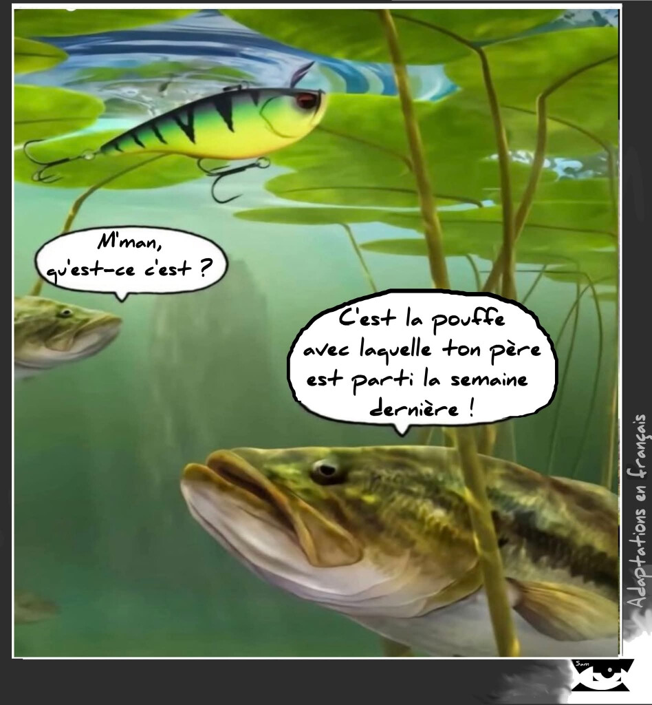 6552193.jpg 6552193.jpg