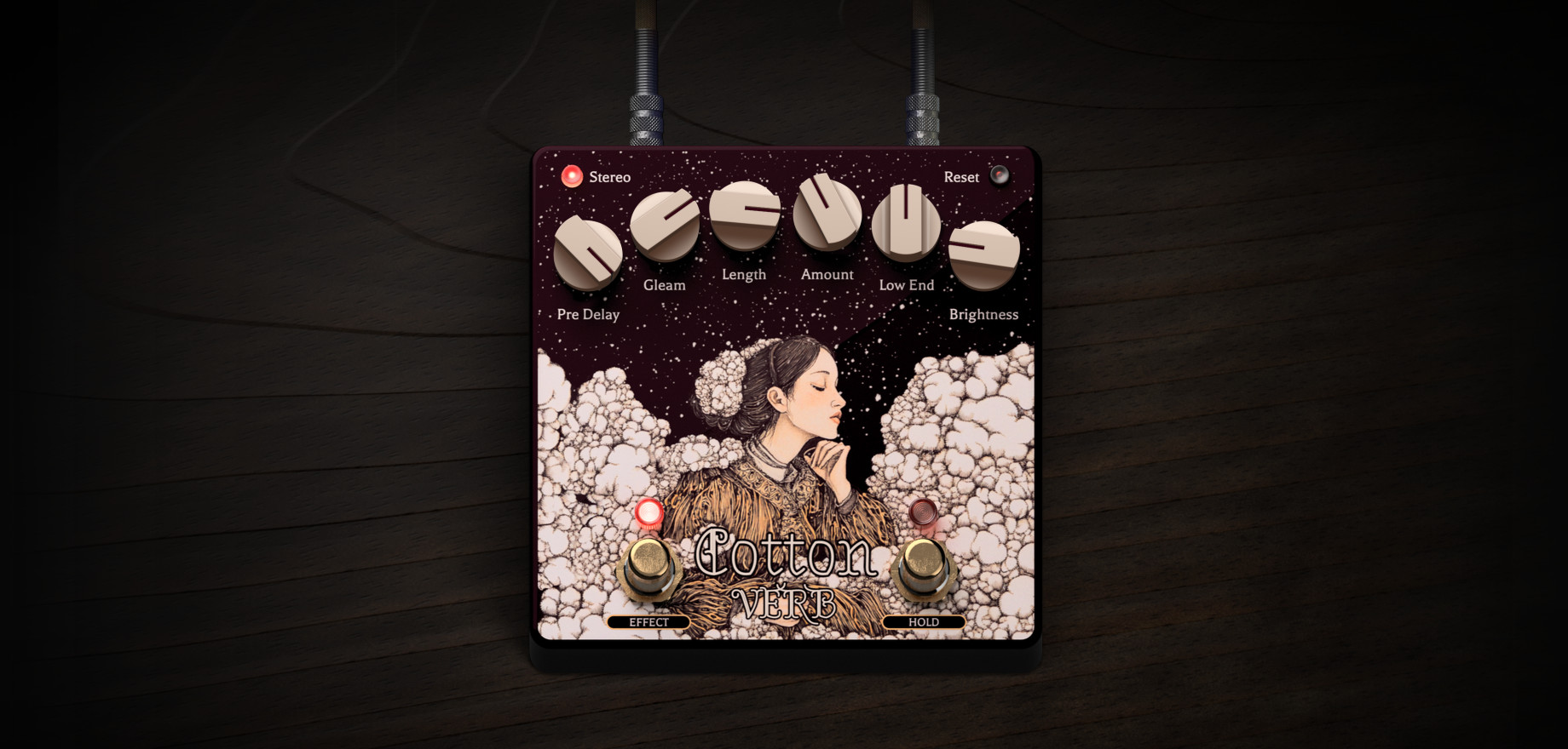 CottonVerb