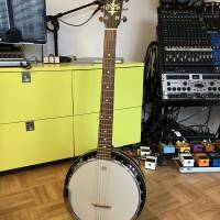 Vends Banjo Guitare Tenesse