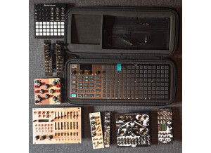 Noise Engineering Cursus Iteritas Percido (44062)