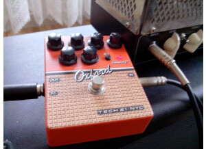 Tech 21 Oxford (53515)