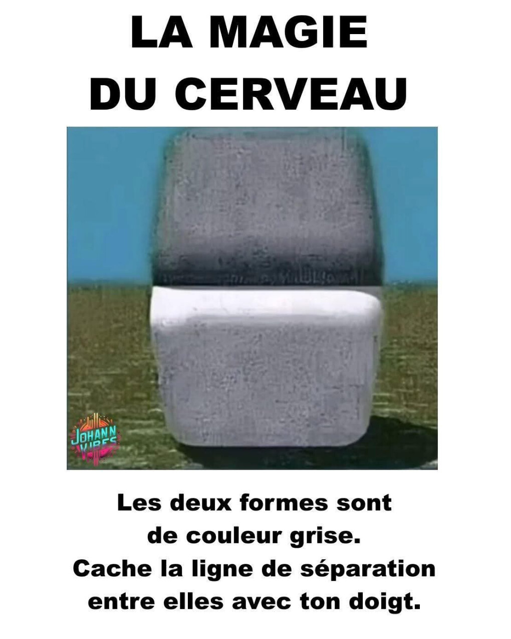 6556081.jpg 6556081.jpg