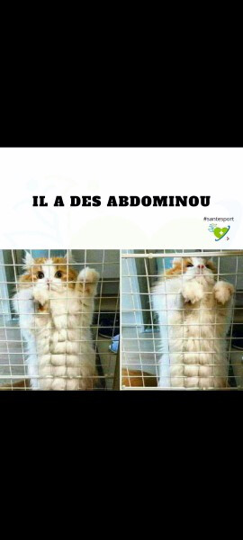 6556168.jpg 6556168.jpg