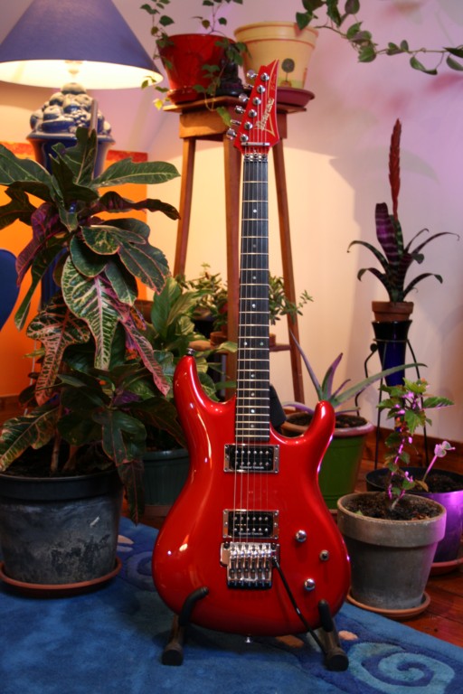 Ibanez JS1200 Joe Satriani Signature