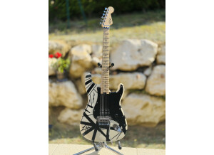 EVH Striped (43028)