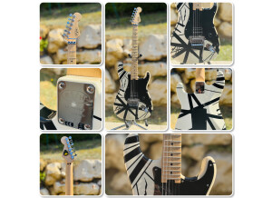 EVH Striped (30157)