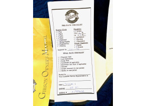 Gibson Hummingbird (23913)