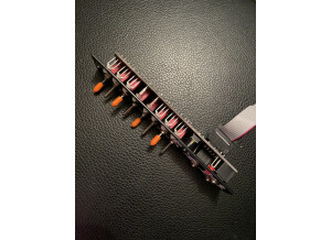 Noise Engineering Bin Seq (19984)