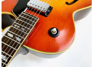 Gibson ES-175 D (1967) (95031)