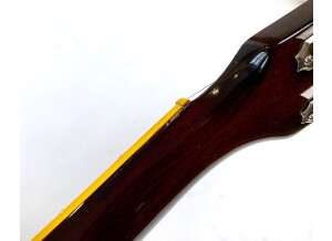 Gibson ES-175 D (1967) (23545)