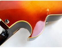 Gibson ES-175 D (1967) (1888)