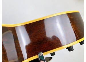 Gibson ES-175 D (1967) (14518)