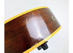 Gibson ES-175 D (1967) (3129)