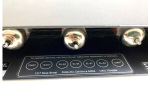 Mesa Boogie 2:20 Dynawatt (22385)
