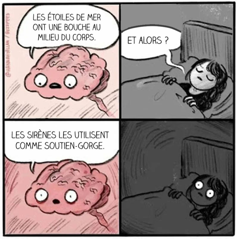 6558775.jpg 6558775.jpg