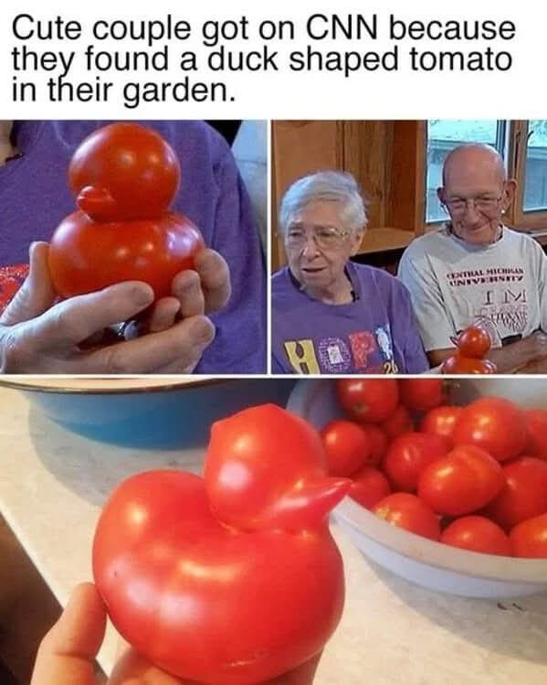 6559242.jpg 6559242.jpg