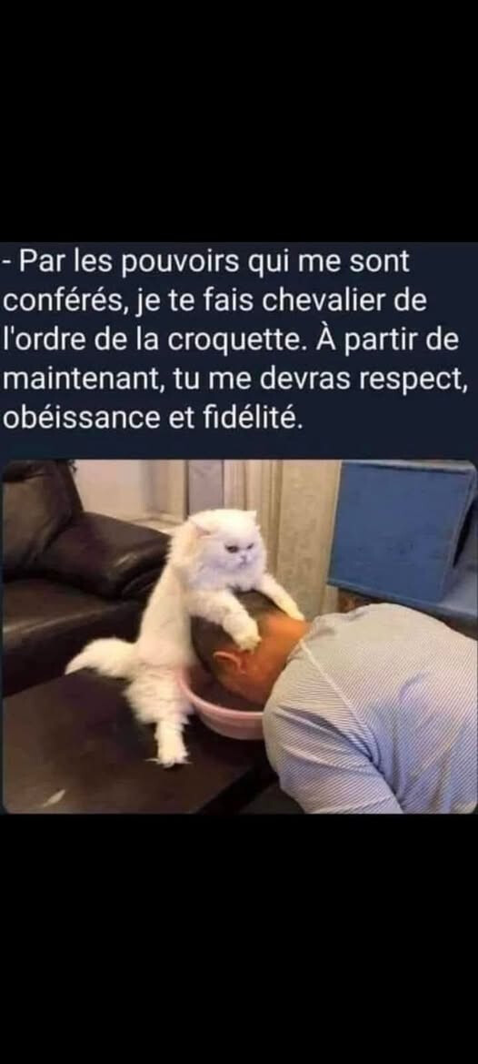 6559466.jpg 6559466.jpg