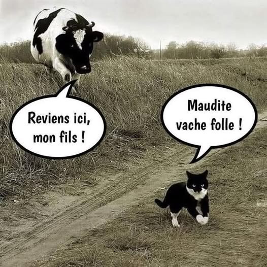 6559467.jpg 6559467.jpg