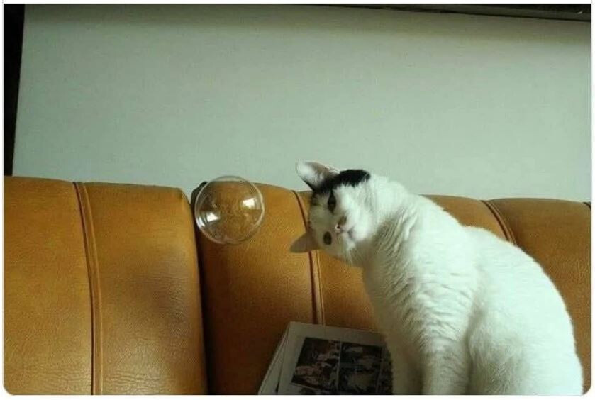 6559468.jpg 6559468.jpg