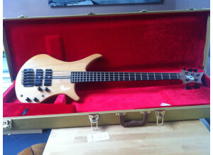 Vigier Passion 5 Strings (54721)