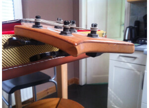 Vigier Passion 5 Strings (95895)