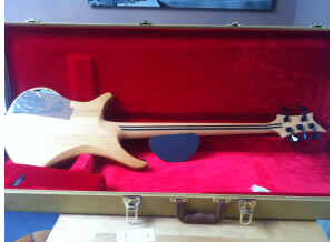 Vigier Passion 5 Strings (83776)