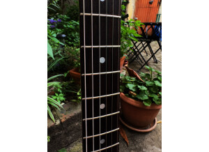 Fender Telecaster Japan (64307)