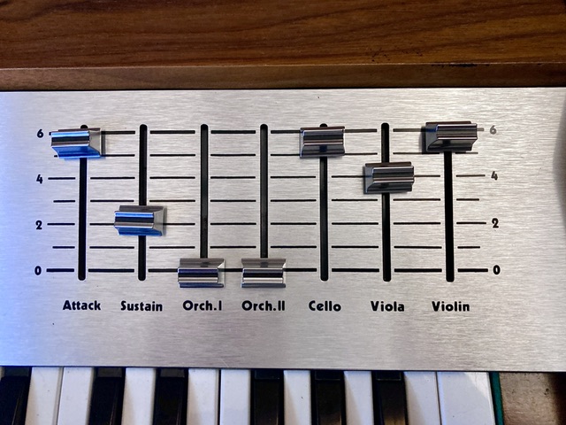 Hohner String Melody II (29939)