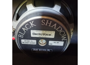 Mesa Boogie 1x12 Electrovoice (23969)