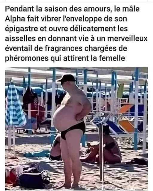 6562552.jpg 6562552.jpg