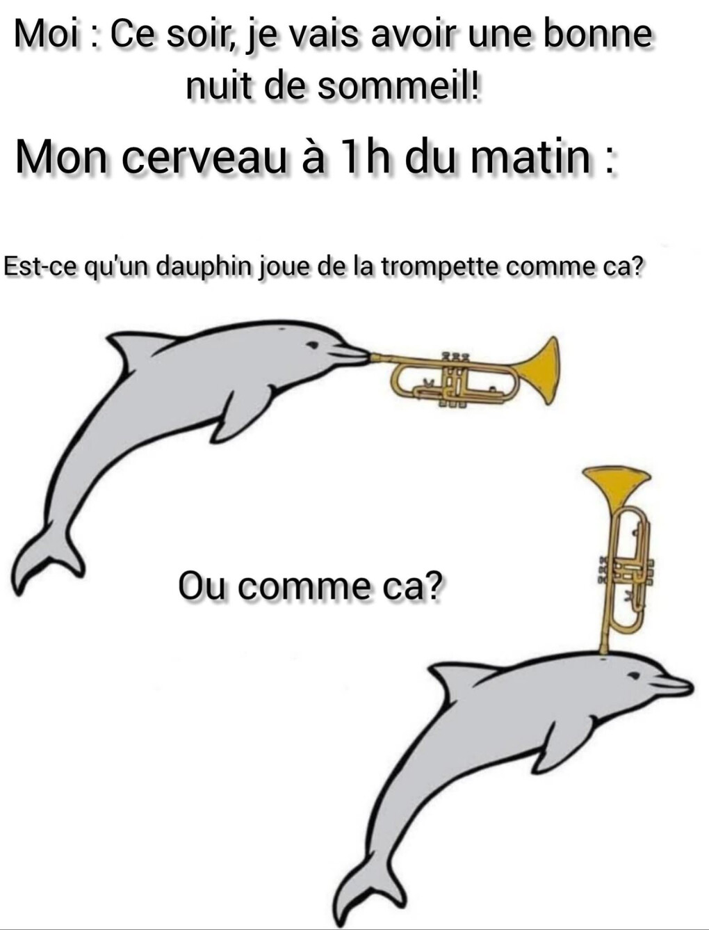 6562590.jpg 6562590.jpg