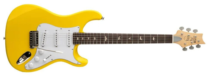 SilverSkyDandyLion SilverSkyDandyLion