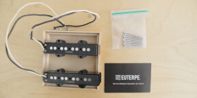 Micros Euterpe Jazz Bass Heavy