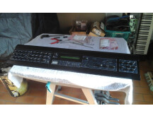 Quasimidi Cyber-6 (66687)