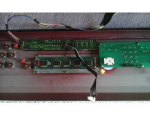 Quasimidi Cyber-6 (68600)