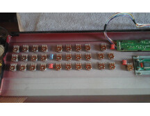 Quasimidi Cyber-6 (77401)