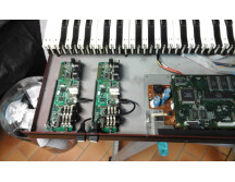 Quasimidi Cyber-6 (5031)