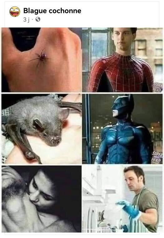 6563551.jpg 6563551.jpg