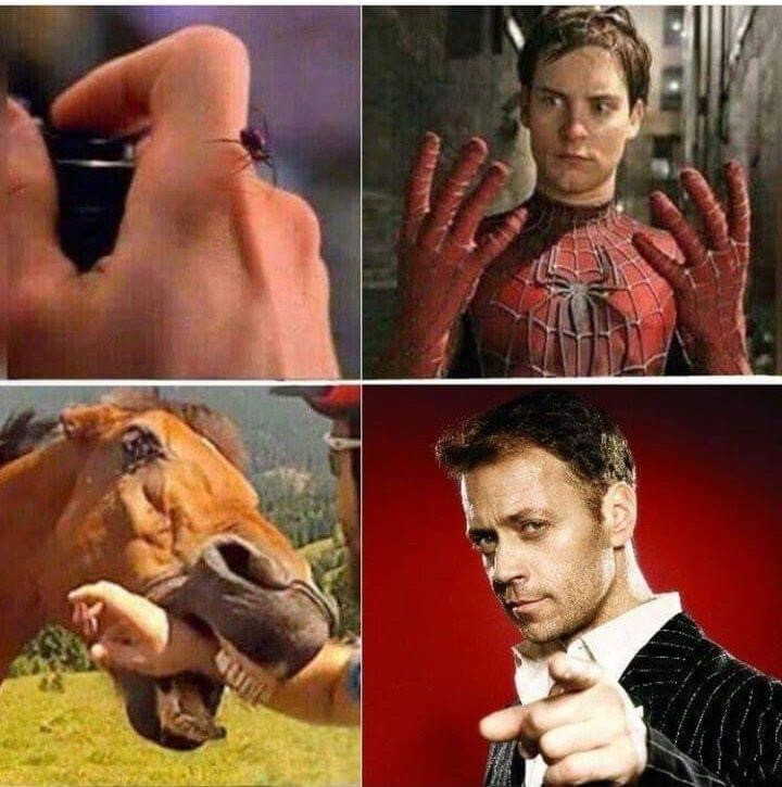 6563719.jpg 6563719.jpg