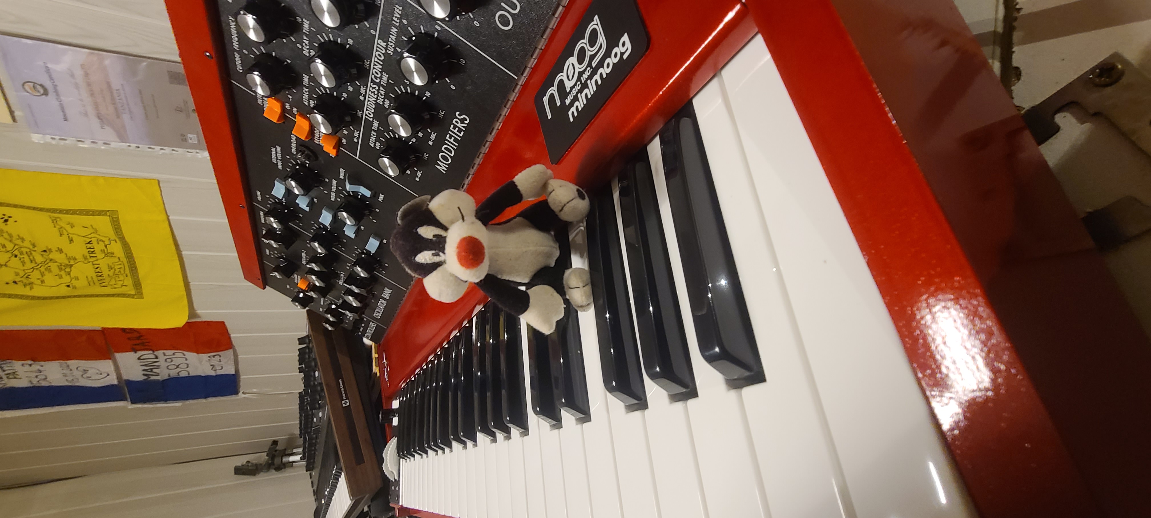 Moog Music Geddy Lee Minimoog Model D