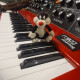 Geddy Lee Minimoog Model D Geddy Lee Minimoog Model D