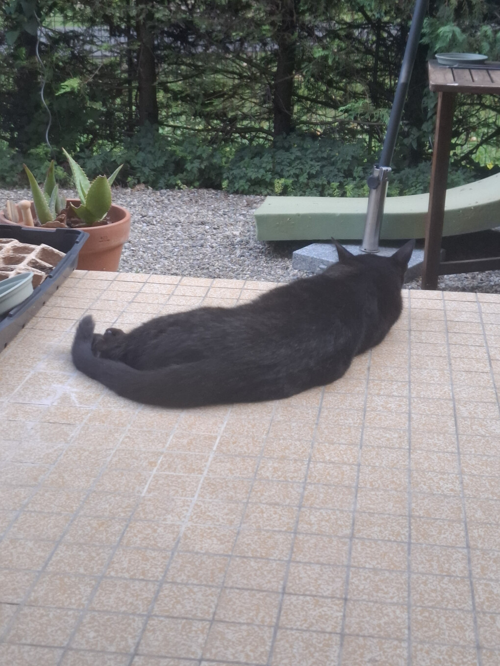 6564025.jpg 6564025.jpg