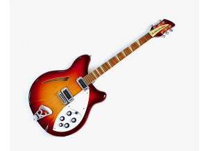 Rickenbacker 360 (13948)