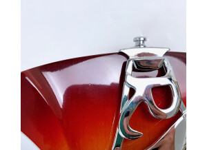 Rickenbacker 360 (93542)