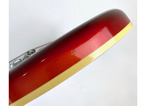 Rickenbacker 360 (25661)